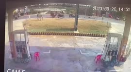 Escaped cow causes chaos on road in Cambodia