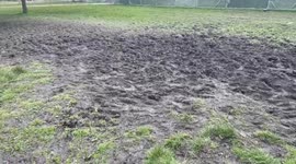 Anyone for a mud bath? Tough Mudder banned from London park after ground likened to battlefield