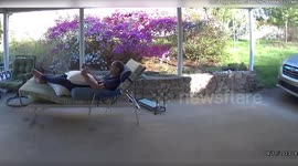 Man startled after he comes face-to-face with huge bear while relaxing outside his home