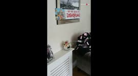 10 y/o Disney fan ready to sing a song of joy after being surprised with a trip to Disneyland