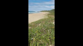 Durban south cost South Africa, durban beach, kawa zulu natal