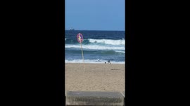 Durban south cost South Africa, durban beach, kawa zulu natal