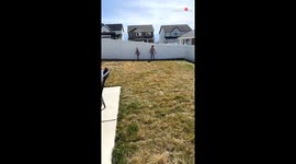 'I win!' - little girl falls from a wing after winning race with elder sister