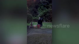 Wild bear seen eating from bird feeder in woman's backyard in Canada