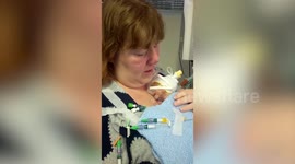 Baby born 12 weeks early fit entirely in his dad's hands