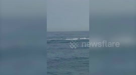 Humpback whale gave divers massive surprise when it popped up next to their boat