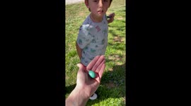 Things get real for 8 y/o when he finds a real bird egg while collecting Easter eggs