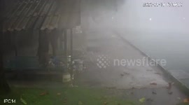 Tree narrowly misses locals when it topples over amid heavy rain in Thailand