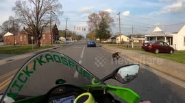 Close call as pet owner loses grip of leash seeing dog race across road in front of motorbike