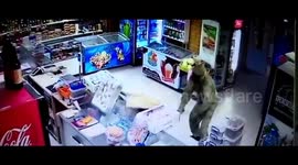 Man in camouflage uniform smashes shop with crowbar in Volgograd, Russia, causing extensive damage