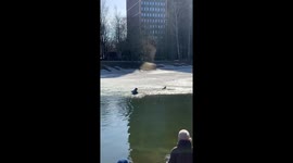 Man bravely rescues drowning dog in Russian pond