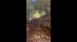 Big dirt bike crash - hill climb hard enduro, smashes into tree and spins 180