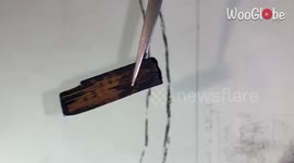 Skillful Artist uses the most unusual objects to paint