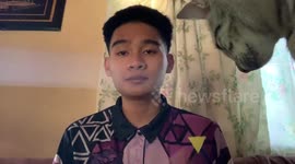 Curious pet cat video bombs student making school presentation