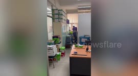 Cheeky monitor lizard enters city hall giving workers fright