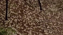 US: Tornado-Warned Storm With Hails Hits Parts Of Texas