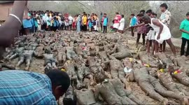 Devotees don feathers and sludge in religious ceremony in South India