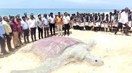Sand sculpture like a turtle was created to raise awareness on saving the Olive Ridley turtles in South India
