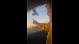 Pizza snatch! Man hilariously captures a seagull using a piece of pizza in New Zealand