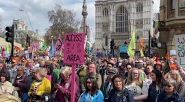 Thousands of people march in Central London to protect biodiversity and nature
