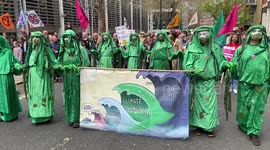 Massive protest in Central London in support of nature and biodiversity