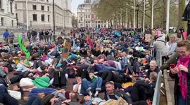 Protesters play 'dead' in Westminster in support of nature and biodiversity