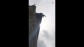 Seagull stuck on roof gets rescued by Fire brigade