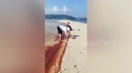 Thousands of tiny shrimp-like krill wash up on beach turning it orange