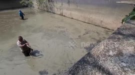 Villagers plunge into muddy pond to rescue trapped dog and serow