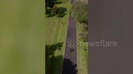 Drone footage shows spectacular Handara Gate in Bali