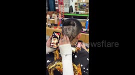 Impressive hair carving: Hairdresser recreates 'Slam Dunk' anime character's hairstyle