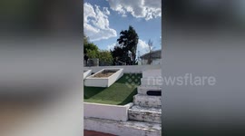Skateboarder rolls down concrete plant box while attempting to slide across grass