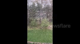 US: Snow Falls In Late April In Michigan 2