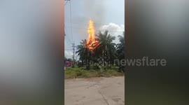 Huge fire rips through biogas factory reactor injuring four in Thailand
