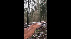 'FACEPLANT!' - Biker feels the heat after coming in too hot while attempting a jump