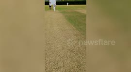 Batter's headcam captures moment village cricket umpire is hit in the head by deflected ball