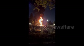 Disneyland's fire-breathing dragon goes up in flames during live performance!