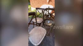 Woman turns trash into treasure making $28k upcycling unwanted furniture