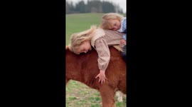 2 little sisters adorably playing with their sweet ponny