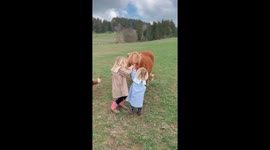 Two little sisters adorably play with their little ponny who lives with them on the farm.