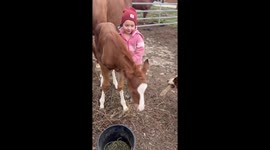 Two little sisters adorably play with a 1week old baby horse.