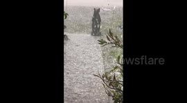 US: Large Hail Batters Central Florida During Severe Storm 4