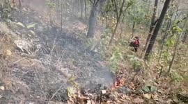 Fires from illegal farming threaten national forest in Thailand