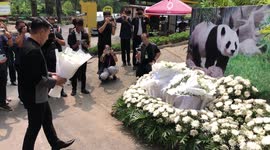 Mourning ceremony to Lin Hui, giant Panda, on the 7th anniversary of his death, at Chiang Mai Zoo in Thailand