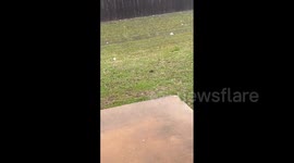 'Oh my god!': Giant hail hits Texas, US, amid severe weather