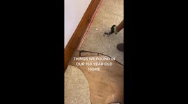 'Murder cover-up?': Couple find old polaroids and clothes STUFFED in WALLS while renovating 'haunted' 150-year-old home Part 1/5