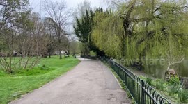 Park spring, lake, alley, trees, overcast, empty streets,nature,