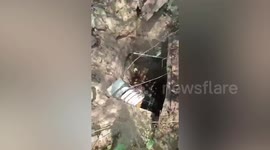 Pet dog rescued after falling into hole while chasing stray cat