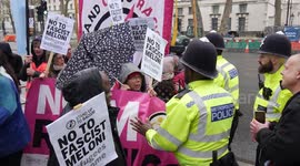 Anti-Meloni protesters and police scuffle outside Downing Street as Italian PM meets Rishi Sunak inside No. 10