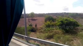 Mais uma viagem maravilhosa e nessa viagem passamos por uma parte onde tinha umas vacas em um pasto próximo a estrada